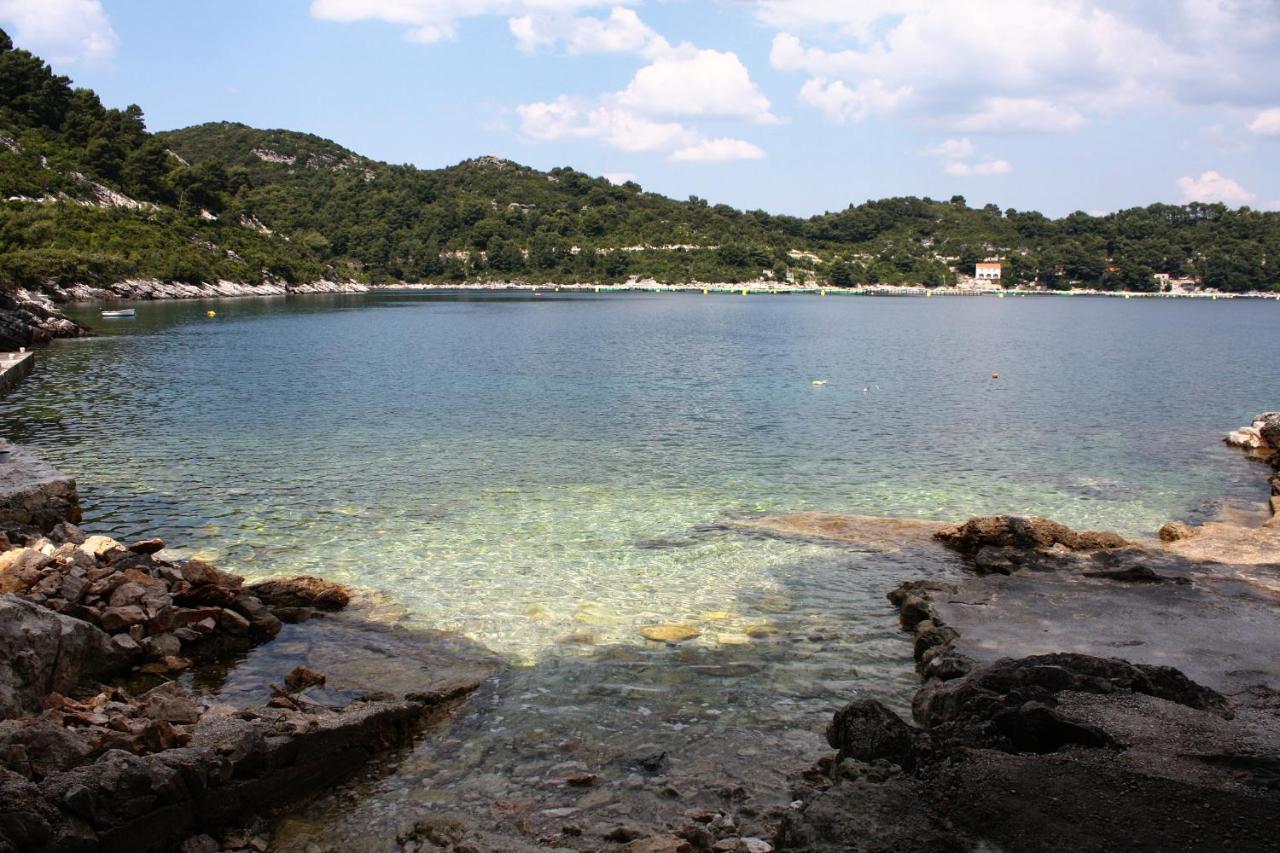 Apartments By The Sea Sobra, Mljet - 4908 Babino Polje Екстериор снимка